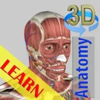 3D Bones and Muscles (Anatomy)